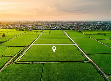 Well Developed Plots
